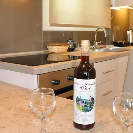 Dina's Paradise 2* אגיוס גורדיוס